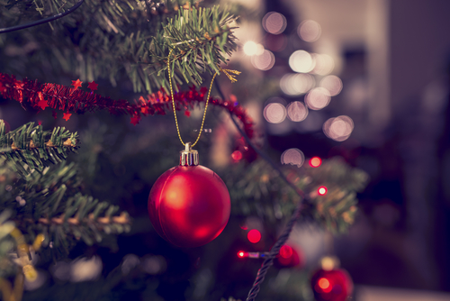 Giving Back for the Holidays